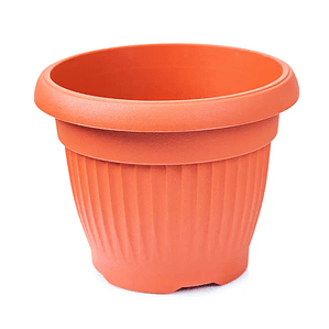 Maceta de demostración