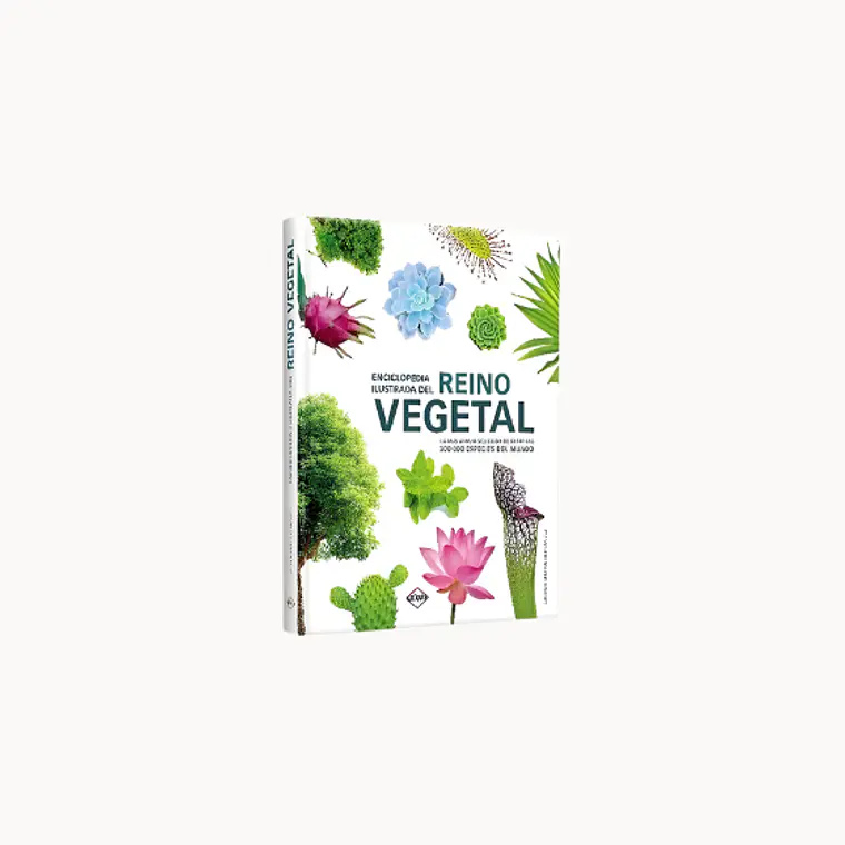 ENCICLOPEDIA ILUSTRADA DEL REINO VEGETAL 1