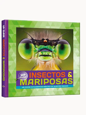 Insectos y mariposas