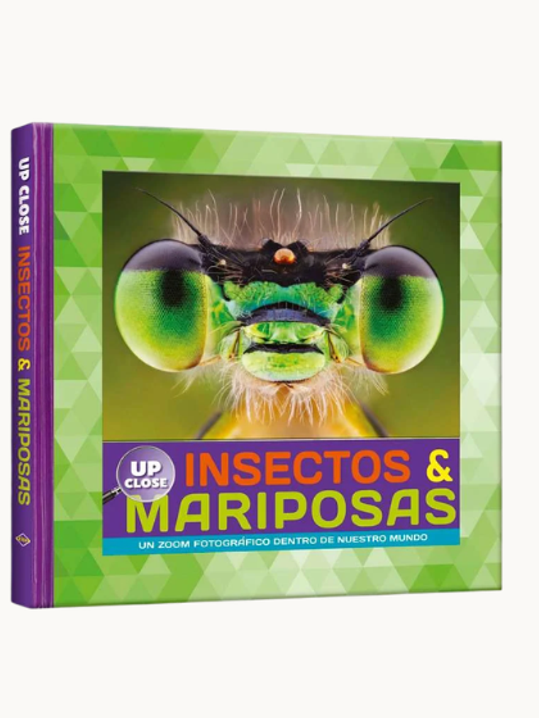 Insectos y mariposas 1