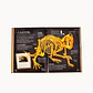 Colección de Huesos Animales - Miniatura 2