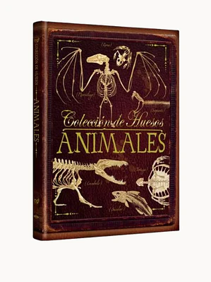 Colección de Huesos Animales