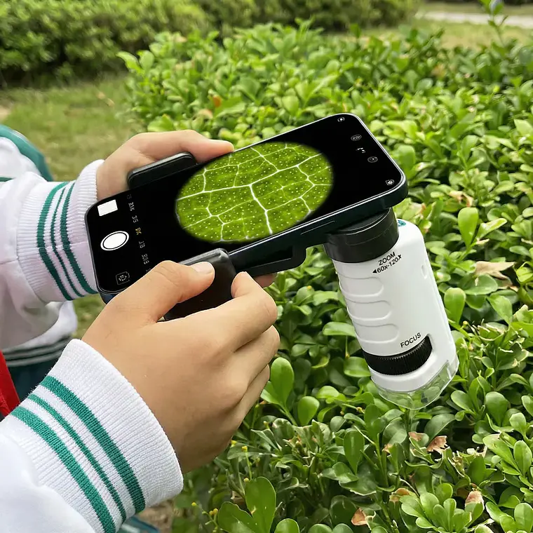 Microscopio 4