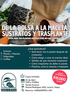 Taller: De la bolsa a la maceta