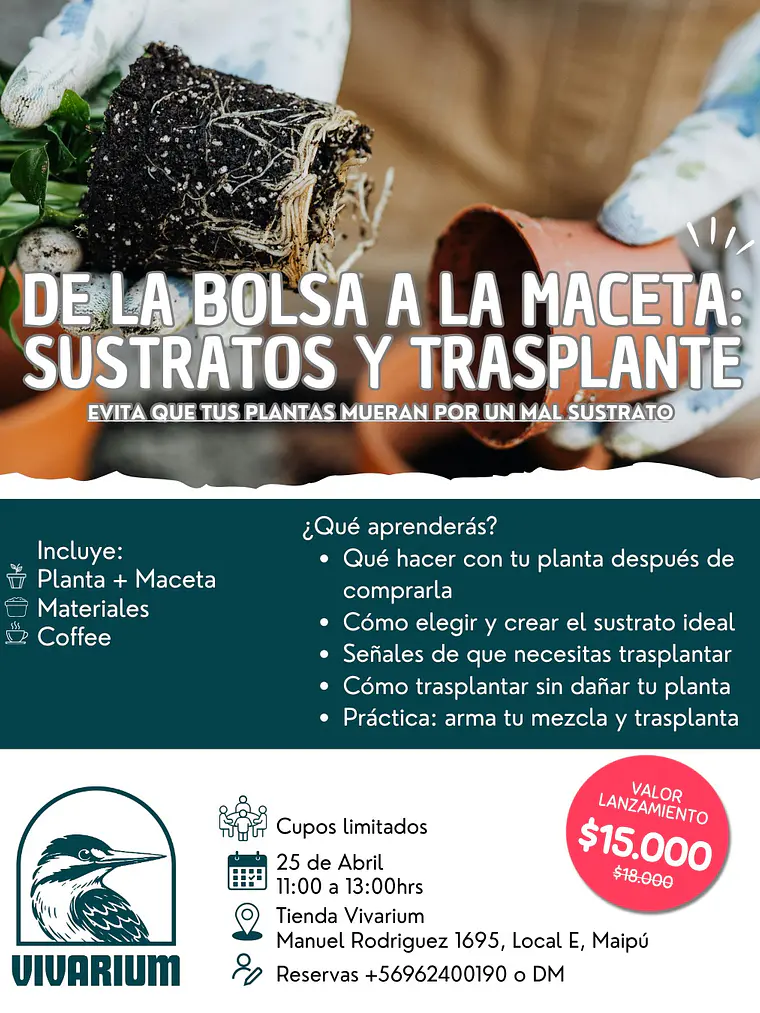 Taller: De la bolsa a la maceta 1