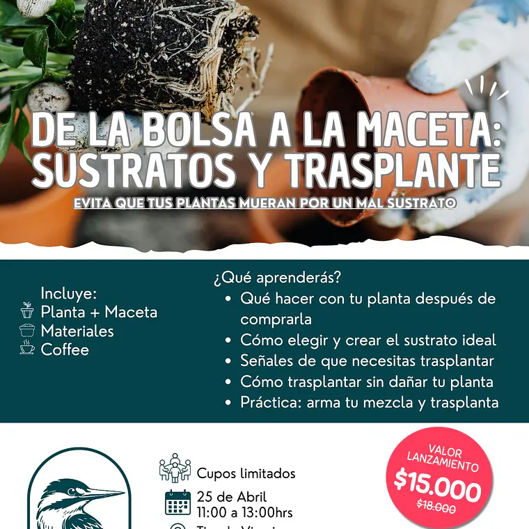 Taller: De la bolsa a la maceta 1