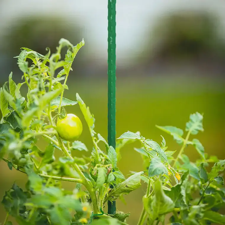 Tutor plantas 90 cm 2