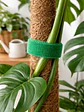 Cinta velcro para plantas - Miniatura 1