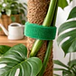 Cinta velcro para plantas - Miniatura 1