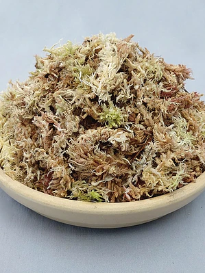 Musgo Spagnum