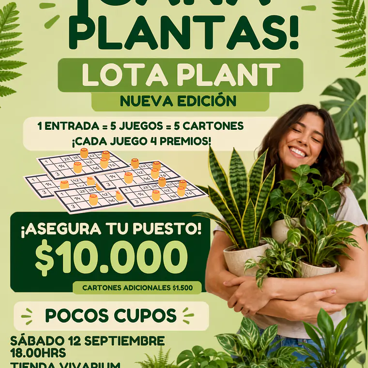 Entrada Lota Plant 1