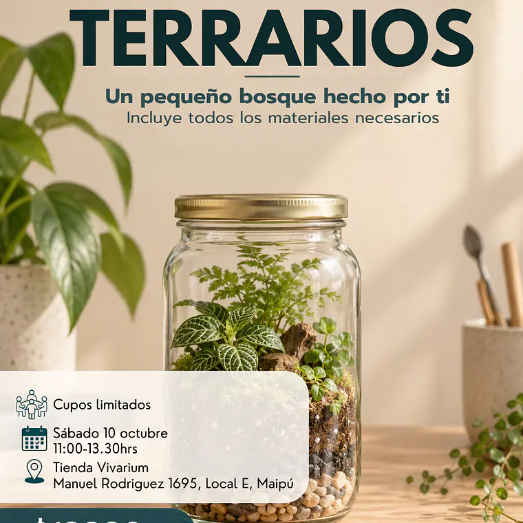 Taller: tu primer terrario 1