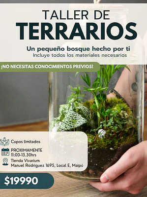 Taller: Crea tu propio terrario
