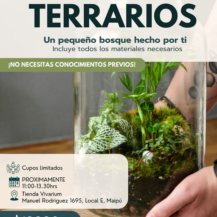 Taller: Crea tu propio terrario 1