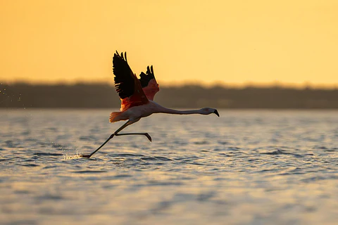 Navegación al atardecer