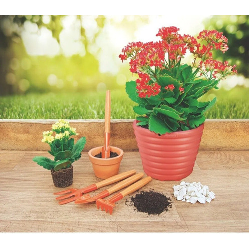 Herramientas de Jardín x4 Piezas Plantas Pequeñas (Cactus, Suculentas, Bonsái) Mango en Madera  6