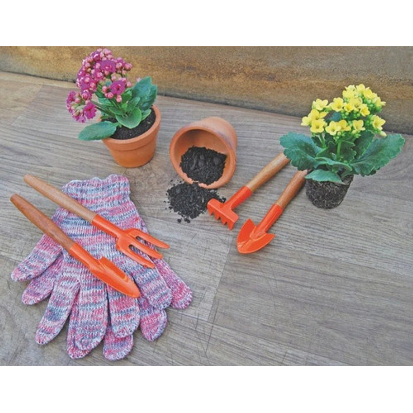 Herramientas de Jardín x4 Piezas Plantas Pequeñas (Cactus, Suculentas, Bonsái) Mango en Madera  7