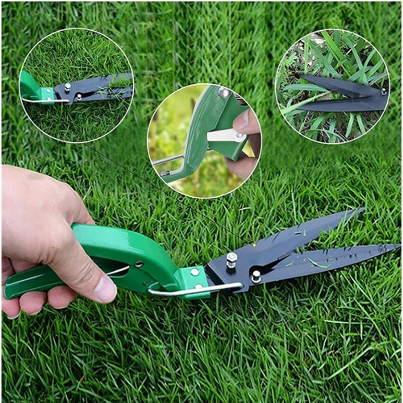 Kit Herramientas Jardinería x11 Piezas Más Estuche Verde 5