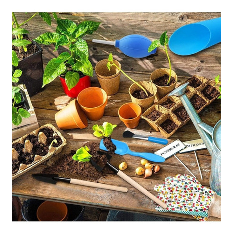 Kit Básico Herramientas Cuidado Cactus y Suculentas x9 piezas 6