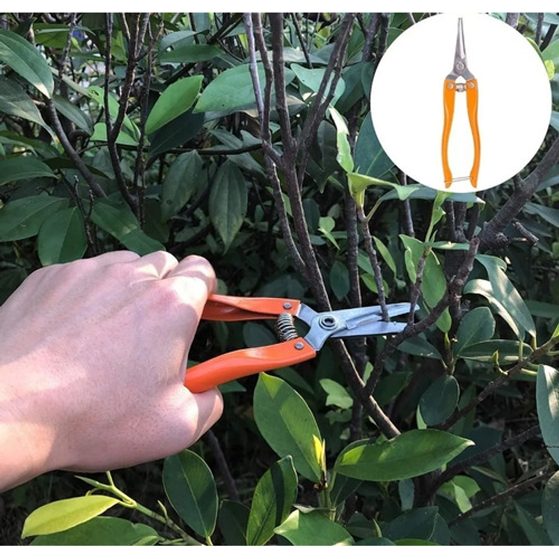 Kit Herramientas Jardinería En Acero x10 Piezas Más bolso 12