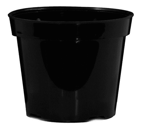 Maceta plantas x25 unidades tipo vivero 8cm diámetro x7cm alto