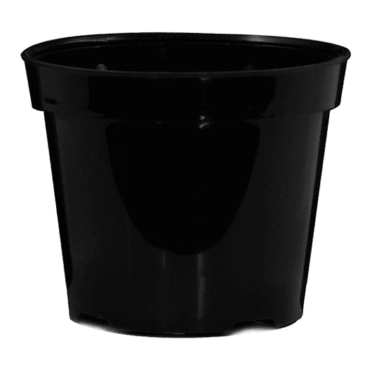 Maceta plantas x25 unidades tipo vivero 8cm diámetro x7cm alto 1