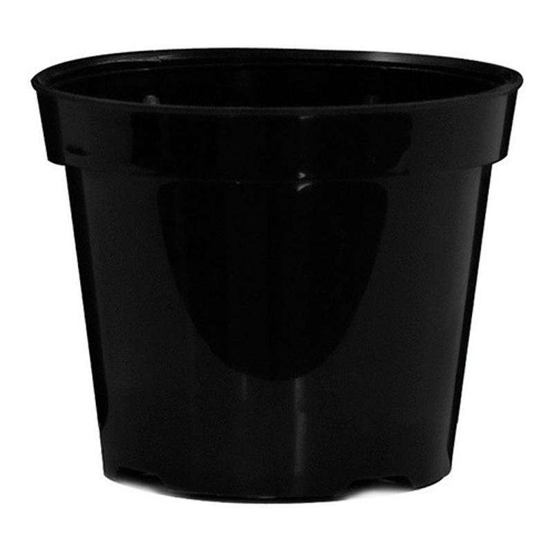 Maceta plantas x25 unidades tipo vivero 8cm diámetro x7cm alto 1