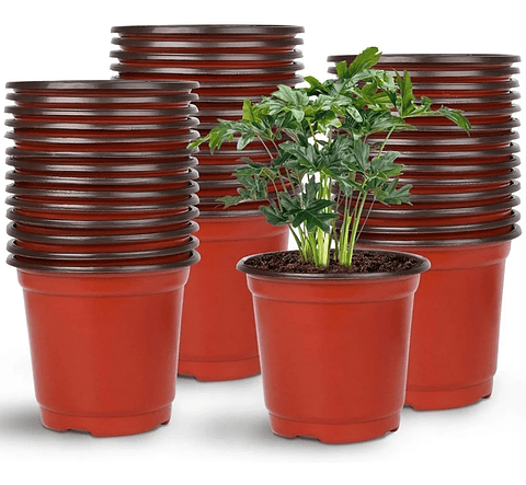 Macetas plásticas de siembra x30 unidades 8cm alto x10cm diametro