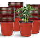 Macetas plásticas de siembra x30 unidades 8cm alto x10cm diametro - Miniatura 1