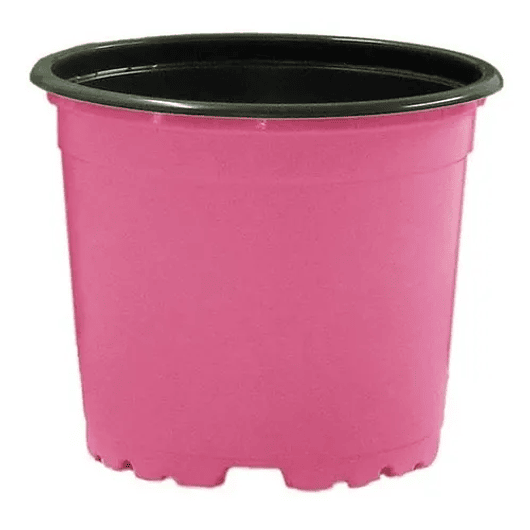 Matera plástica tipo vivero x25 unidades color 9cm diámetro x7cm alto 1