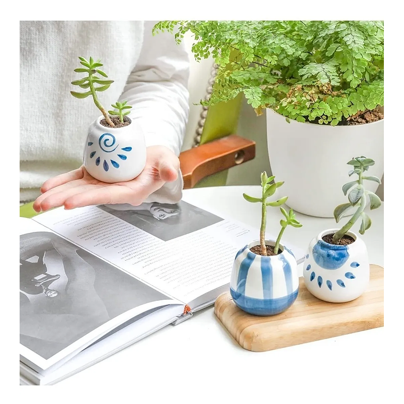 Juego De Macetas En Cerámica Fina x6 Piezas Cactus Baby Blue 2