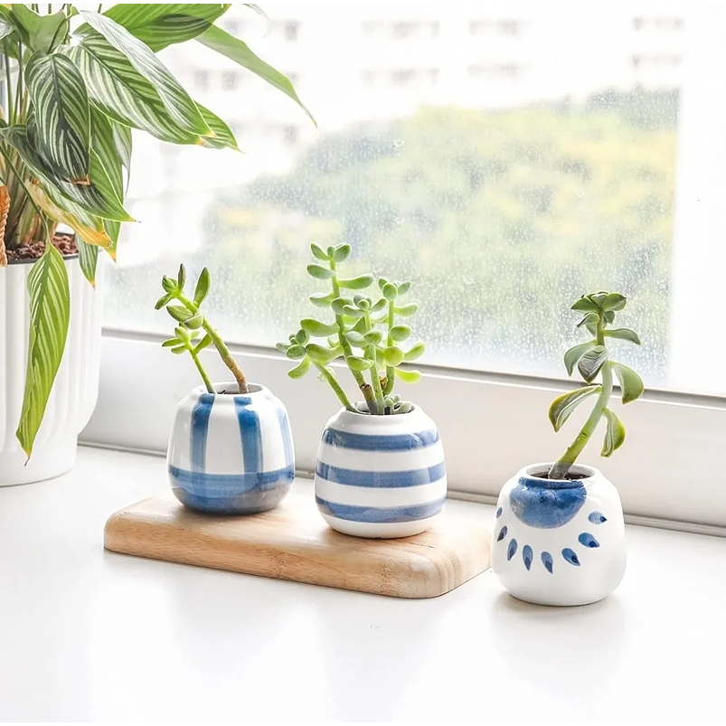 Juego De Macetas En Cerámica Fina x6 Piezas Cactus Baby Blue 3