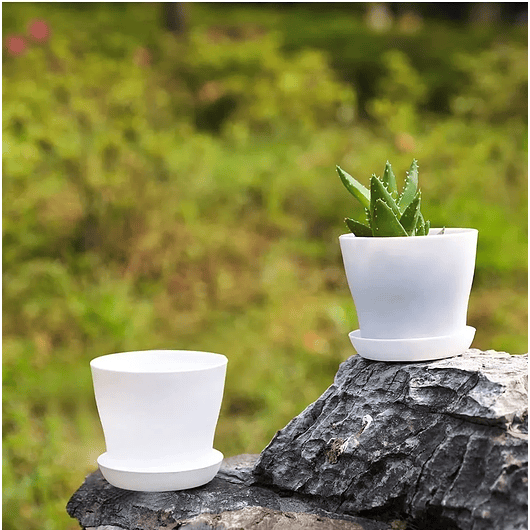 Maceta Plástica Plantas Colores Más Plato 10cm Diámetro x8,5cm Alto 6