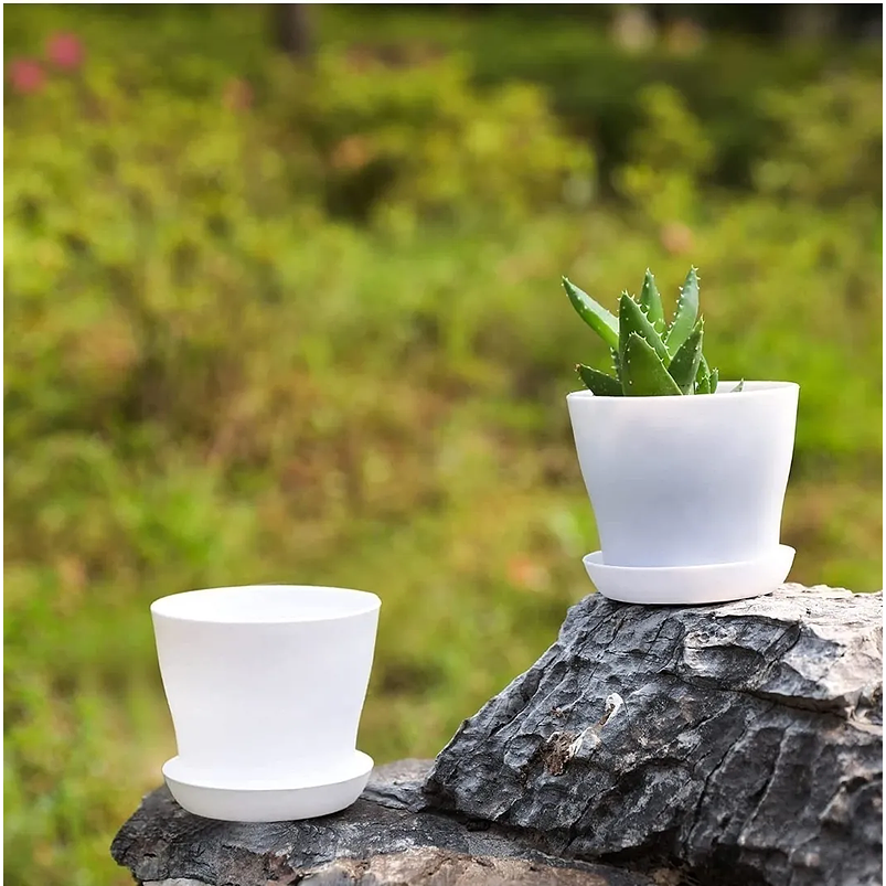 Maceta Plástica Plantas Colores Más Plato 10cm Diámetro x8,5cm Alto 5