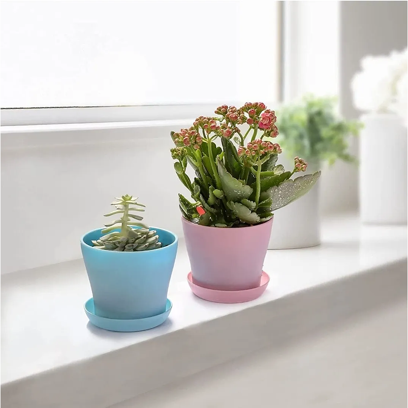 Maceta Plástica Plantas Colores Más Plato 10cm Diámetro x8,5cm Alto 7