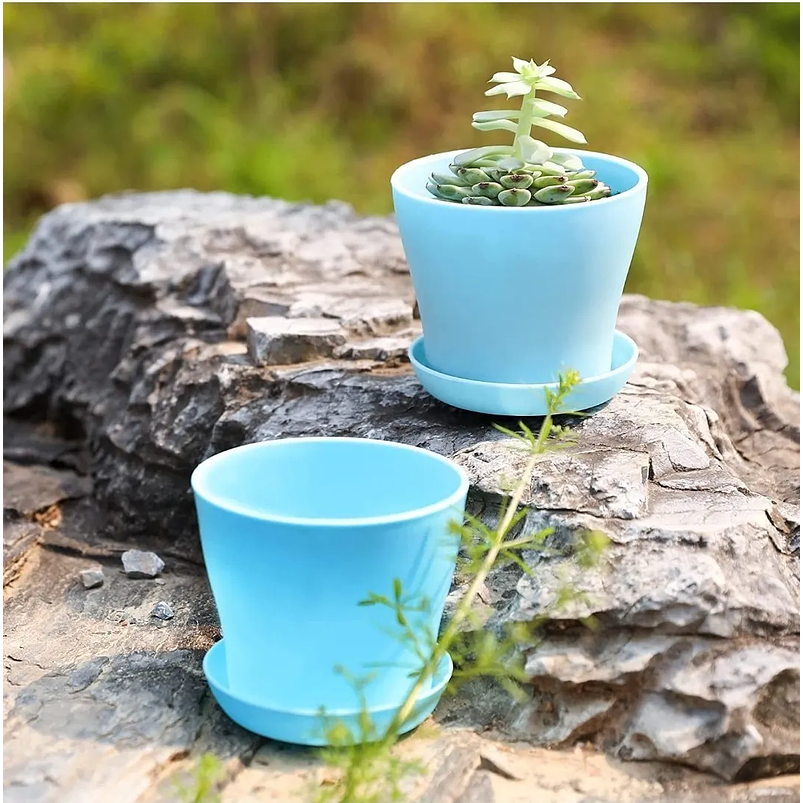 Maceta Plástica Plantas Colores Más Plato 10cm Diámetro x8,5cm Alto 8