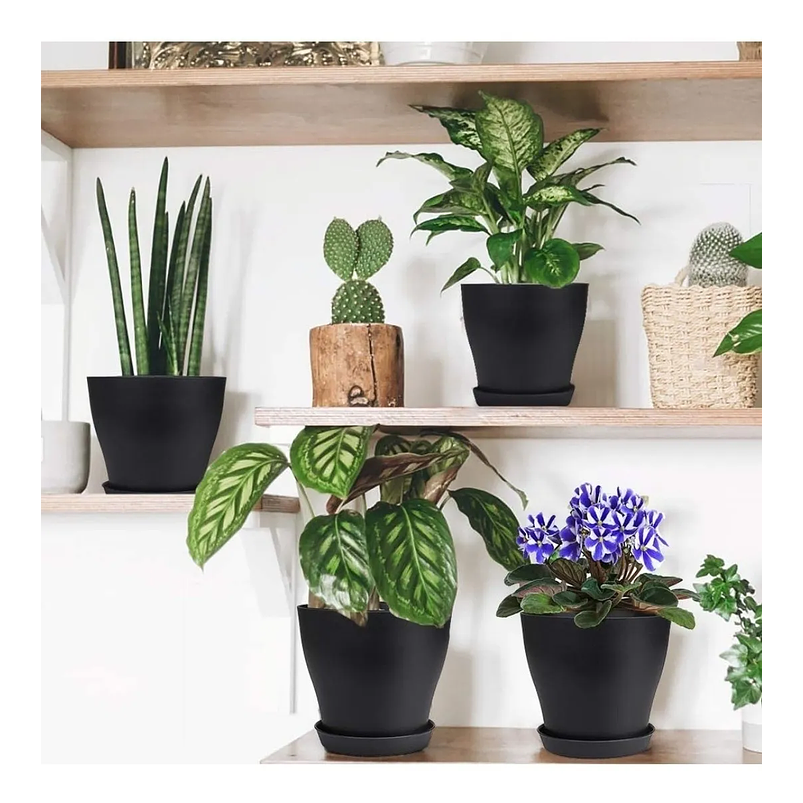 Maceta Plástica Plantas Colores Más Plato 10cm Diámetro x8,5cm Alto 11