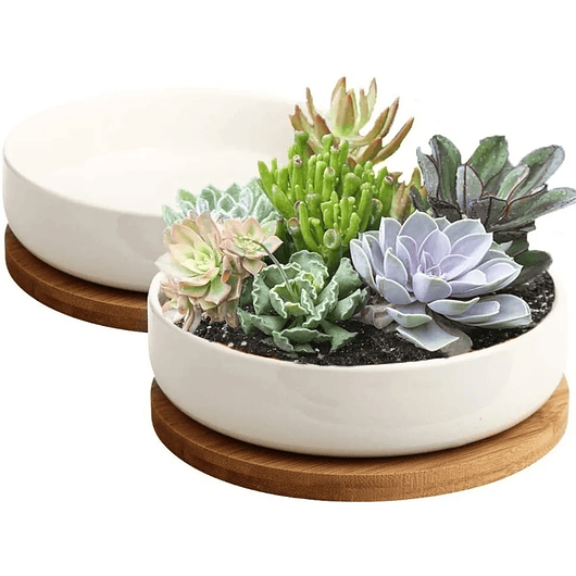 Maceta En Cerámica Suculentas Redonda Más plato En Bambú Premium 2