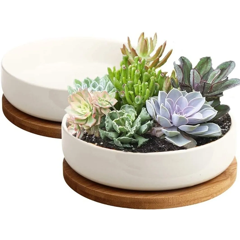 Maceta En Cerámica Suculentas Redonda Más plato En Bambú Premium 2