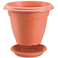 Maceta Plástica Plantas Clásica Más Plato 20 centímetros Diámetro x15 centímetros Alto - Miniatura 1