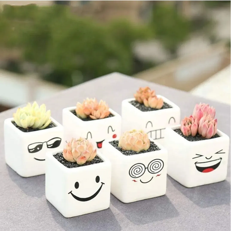 Maceta Cerámica Premium Smily Set x6 Cuadrada Para Suculenta 2