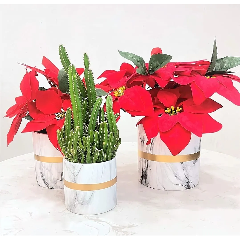 Juego De Macetas Premium x3 Unidades Diseño Mármol 6