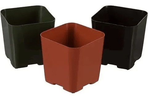Maceta Plástica Siembra Vivero Cuadrada 5 centímetros x20 Unidades