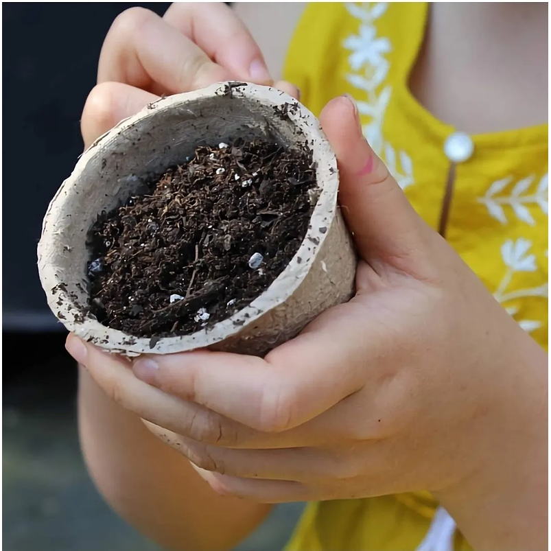 Maceta Papel Orgánico Biodegradable x50und Plántulas 6x6 centímetros 3