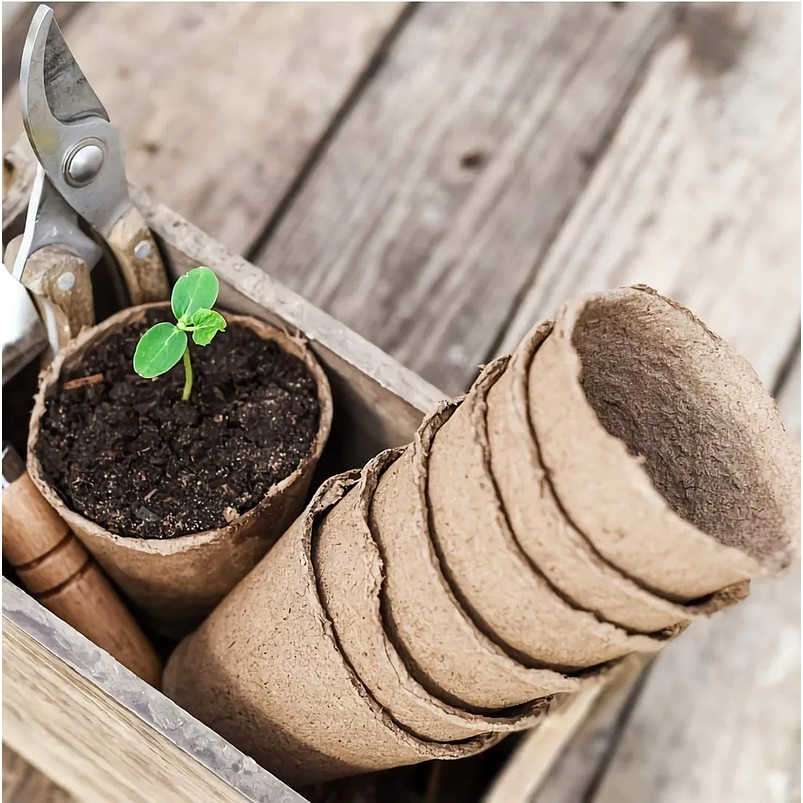 Maceta Papel Orgánico Biodegradable x50und Plántulas 6x6 centímetros 6