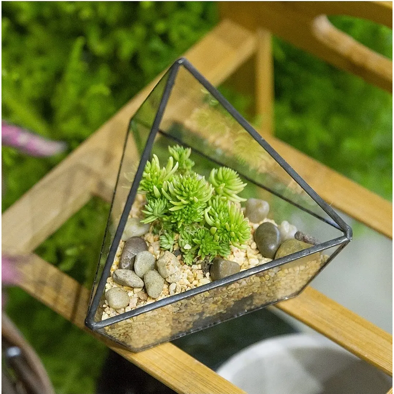 Maceta Terrario Plantas Cristal Triangular 3