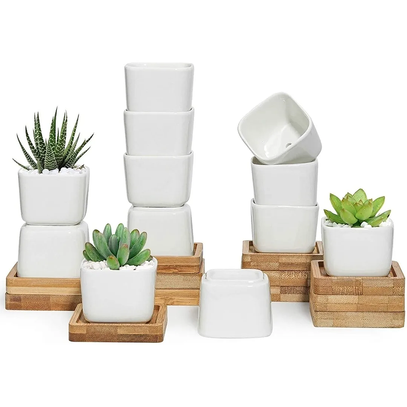 Maceta Cerámica Cuadrada Pequeña Blanca Premium Más plato Bambú 1