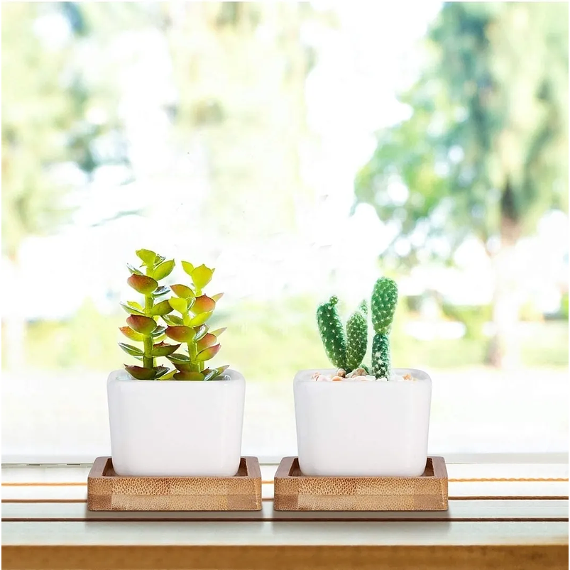 Maceta Cerámica Cuadrada Pequeña Blanca Premium Más plato Bambú 4