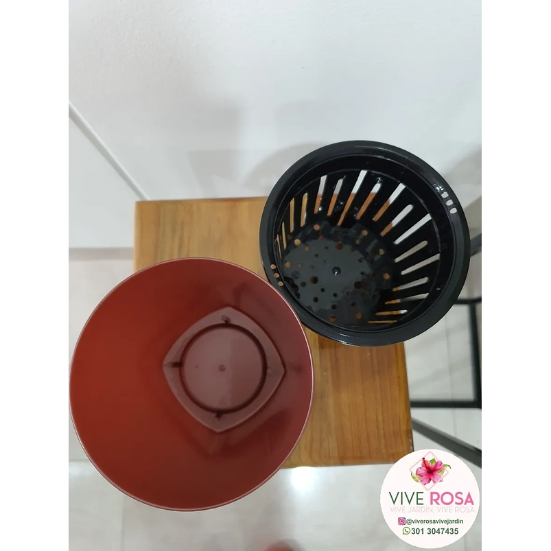 Matera De Absorción De Agua Autónomo Plantas Naturales  Rosa Oscuro 4