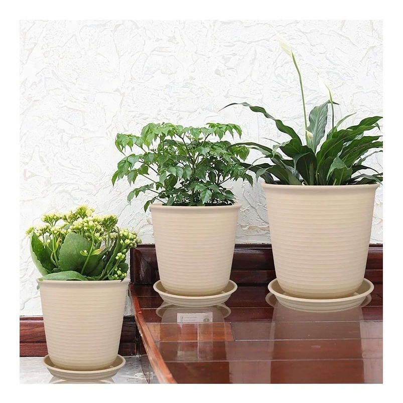 Maceta Plástica De Plantas 15cm Diámetro x15cm Alto Más Plato 3